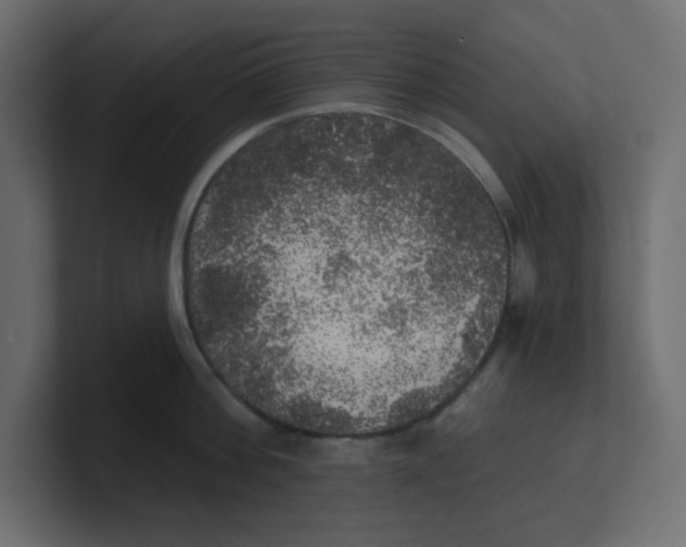 X0000100370812200806271443