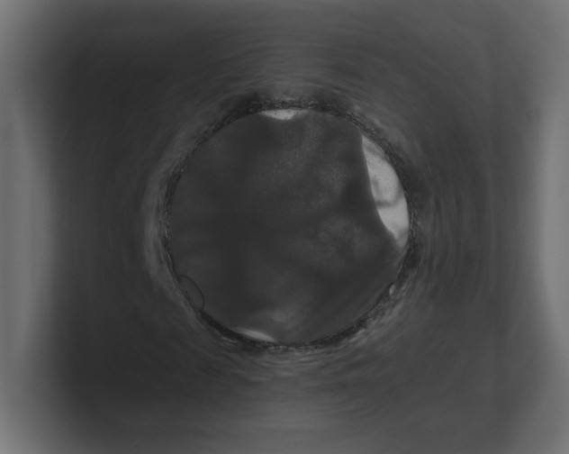 X0000100370817200806271442