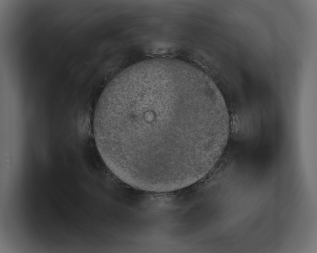 X0000100370820200806271442