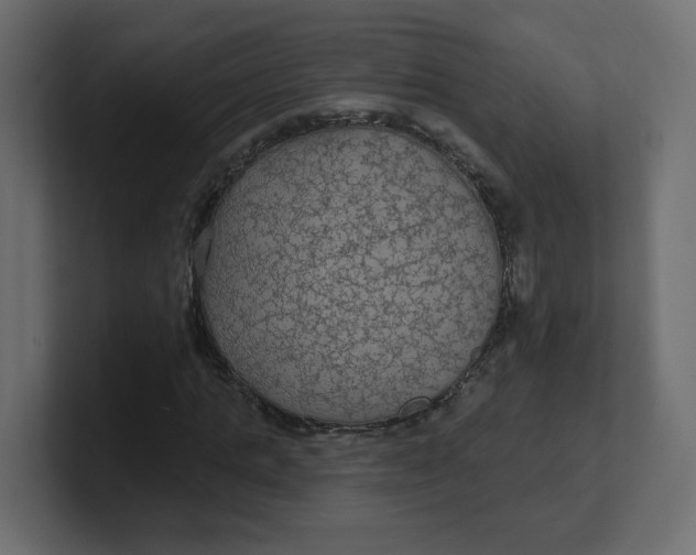 X0000100370821200806271442