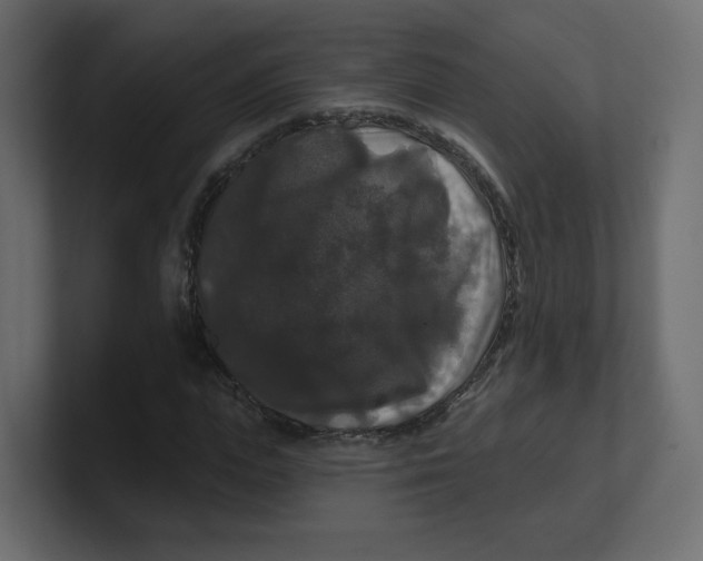 X0000100370823200806271442