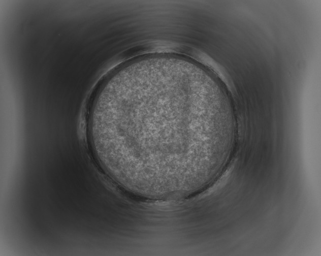 X0000100370827200806271442