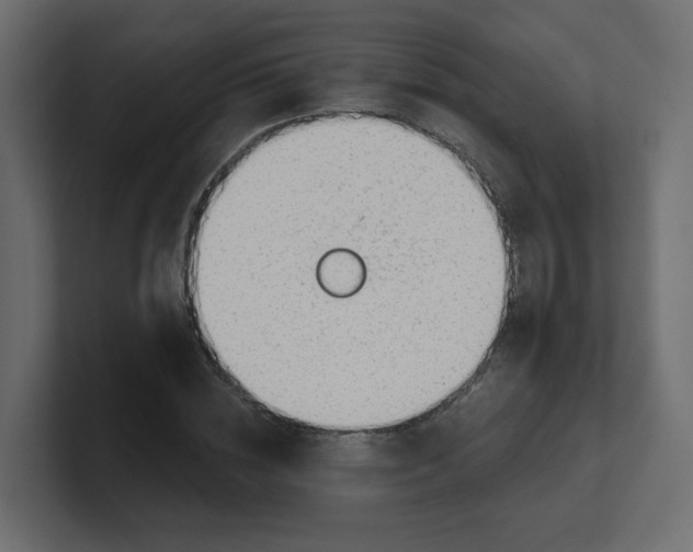 X0000100370828200806271442