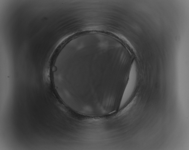 X0000100370830200806271442