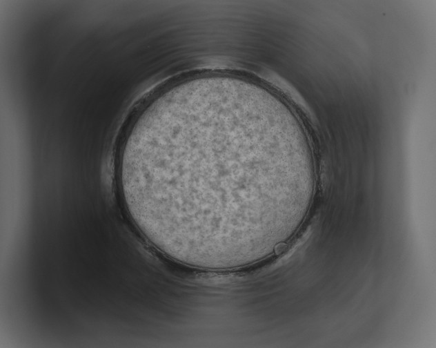 X0000100370831200806271442