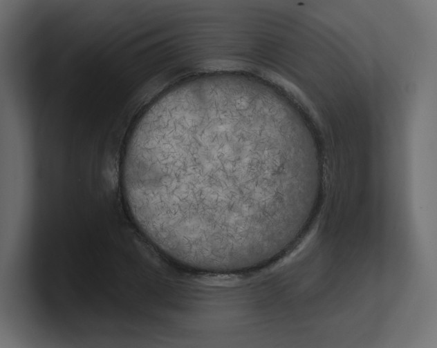 X0000100370833200806271442