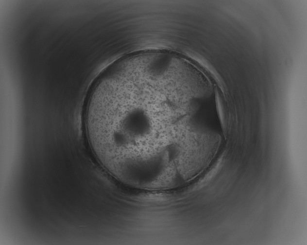 X0000100370834200806271442