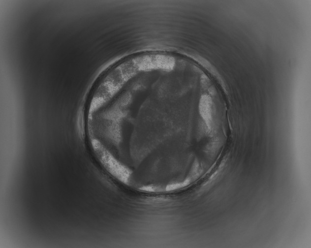 X0000100370838200806271442