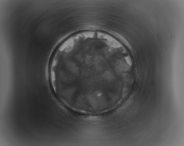 X0000100370839200806271442