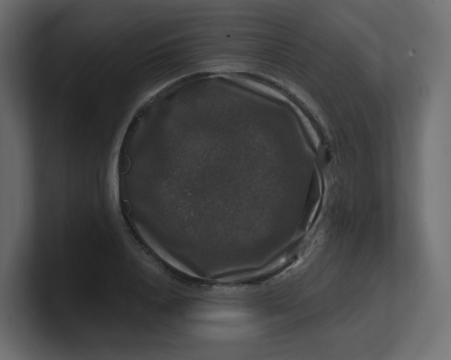 X0000100370840200806271442