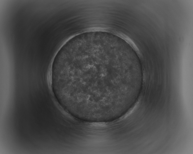 X0000100370844200806271442