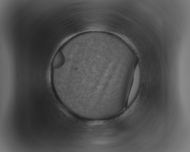 X0000100370846200806271442