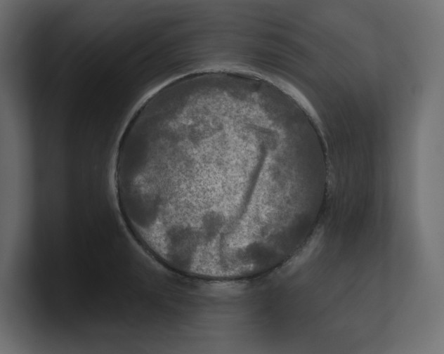 X0000100370847200806271442