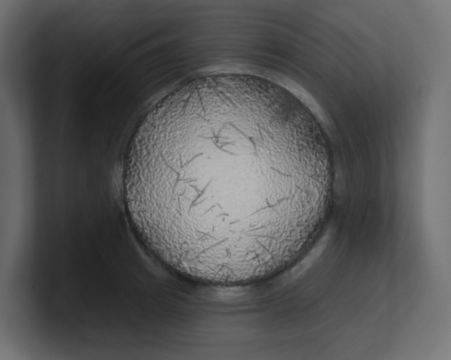 X0000100370849200806271442