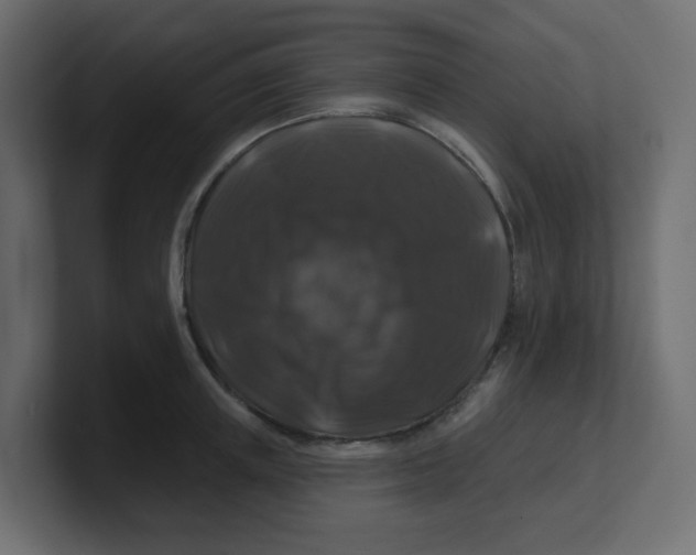 X0000100370851200806271442