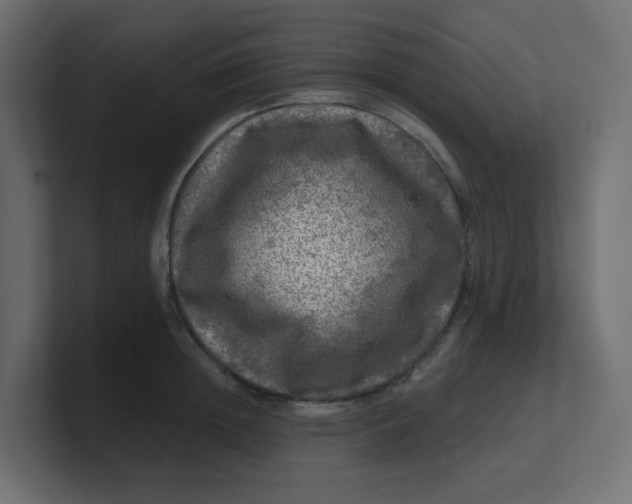 X0000100370852200806271442