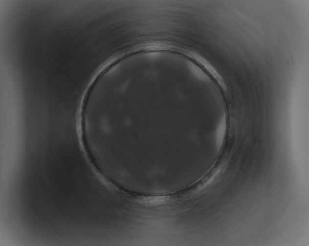 X0000100370853200806271443