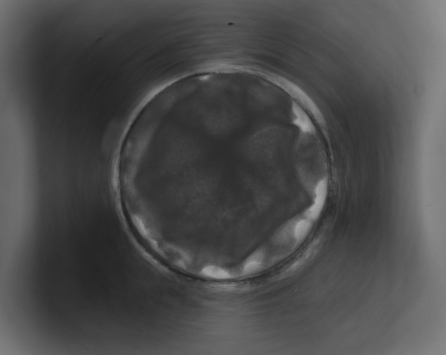 X0000100370855200806271443