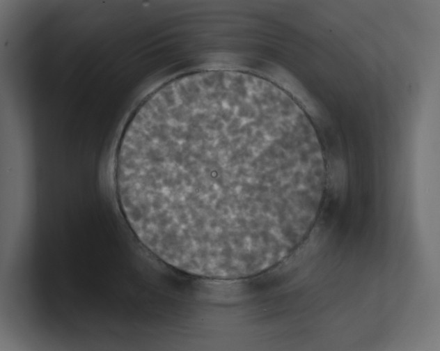 X0000100370856200806271443