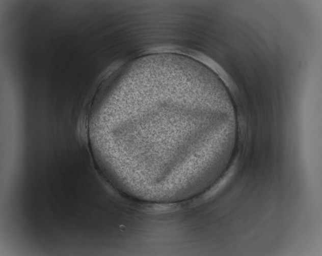 X0000100370857200806271443