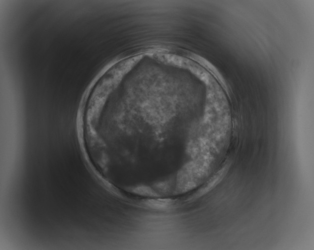 X0000100370859200806271443