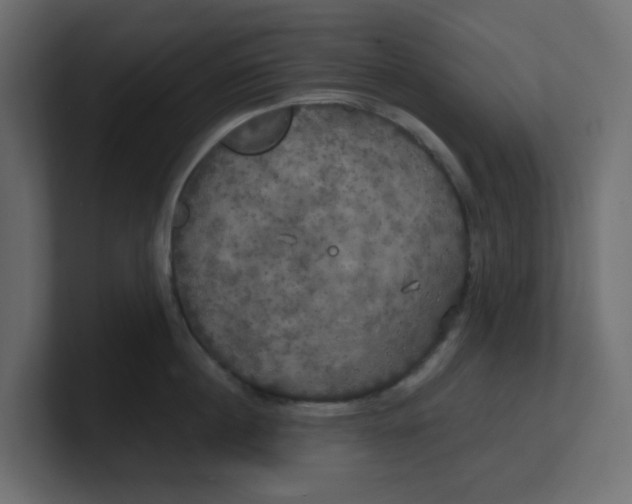 X0000100370860200806271443