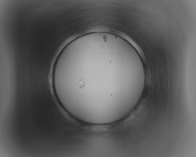 X0000100370861200806271443