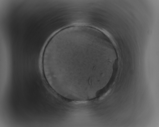 X0000100370864200806271443