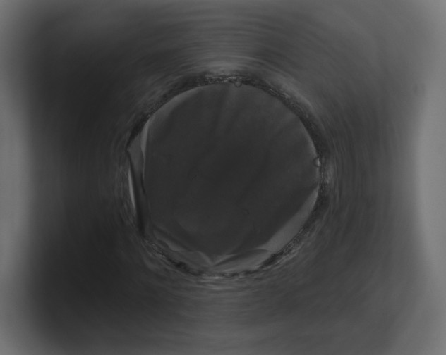 X0000100370868200806271442