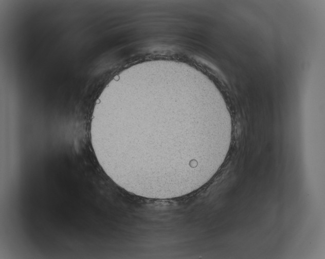 X0000100370869200806271442