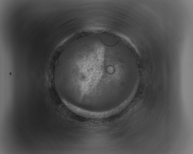 X0000100370871200806271442