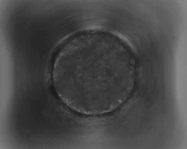 X0000100370872200806271442