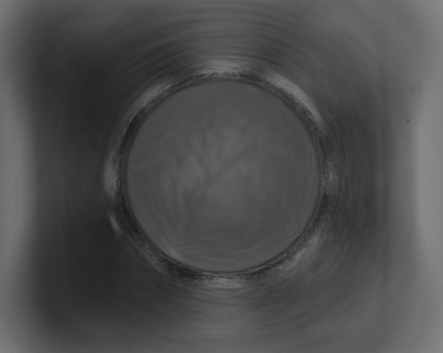 X0000100370874200806271442