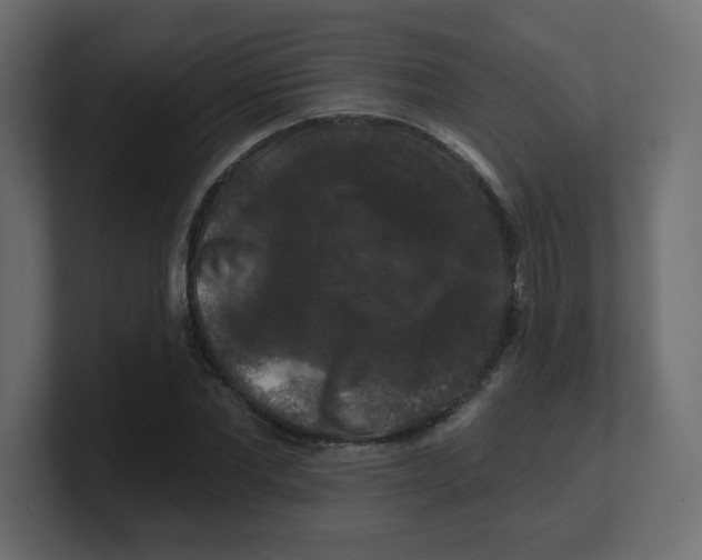 X0000100370877200806271442