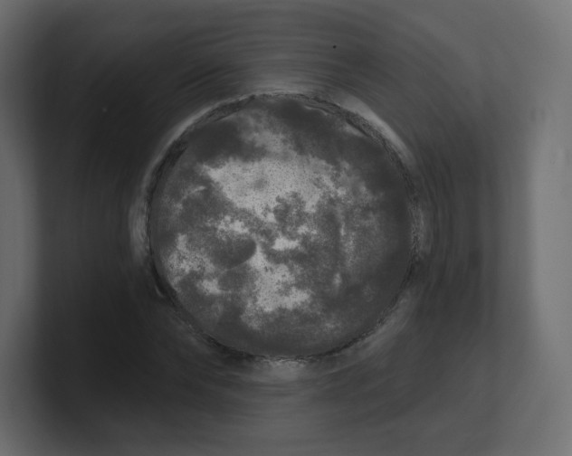 X0000100370878200806271442