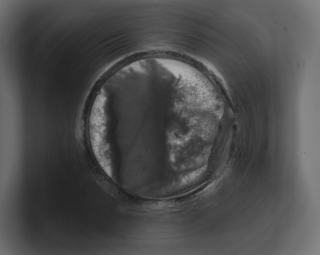 X0000100370879200806271442