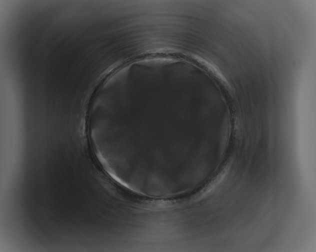 X0000100370881200806271442