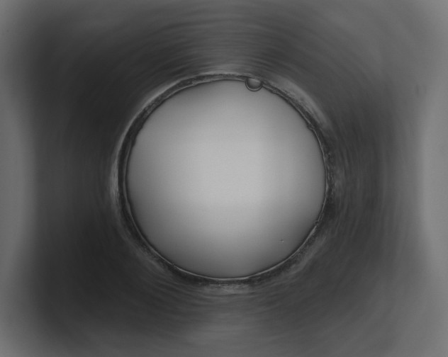 X0000100370884200806271442