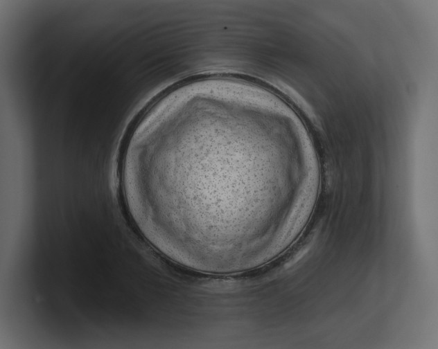 X0000100370885200806271442