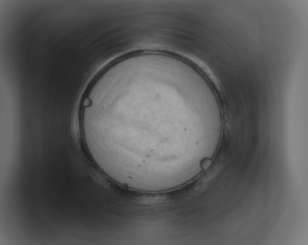 X0000100370887200806271442