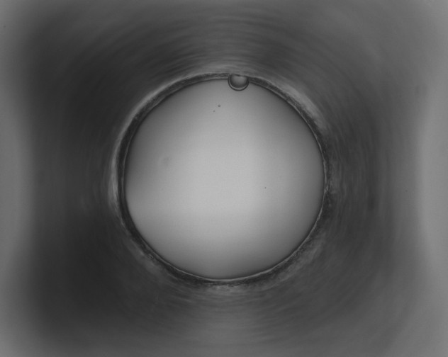 X0000100370888200806271442