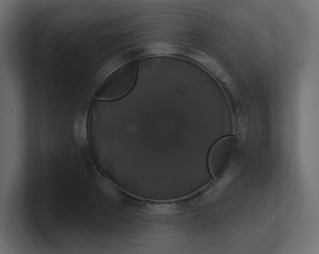 X0000100370889200806271442