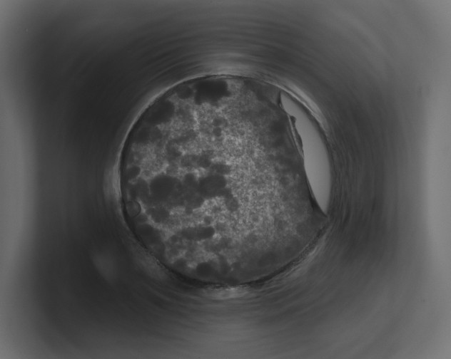 X0000100370891200806271442