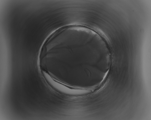 X0000100370892200806271442