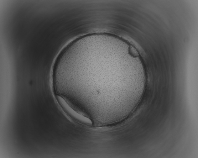 X0000100370894200806271442