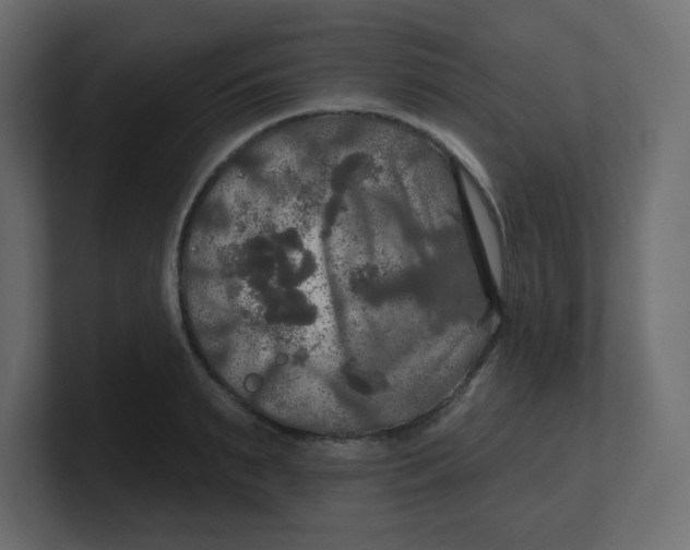 X0000100370895200806271442