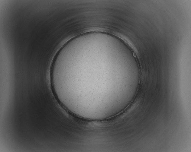 X0000100370898200806271442