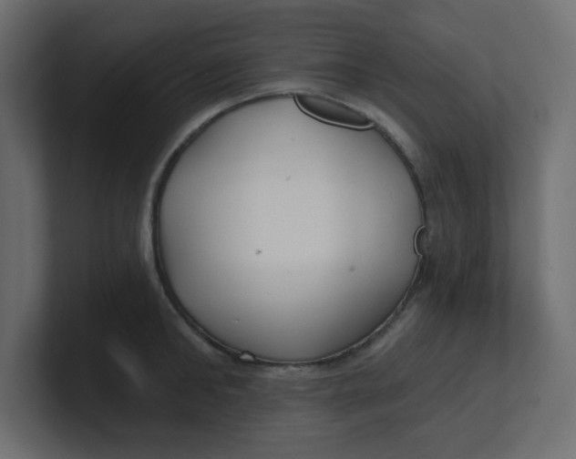 X0000100370902200806271442