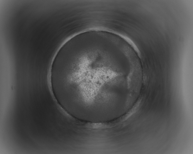 X0000100370903200806271442