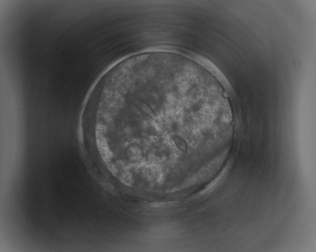 X0000100370908200806271441